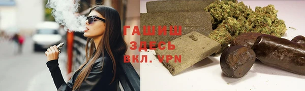гидра Гусев