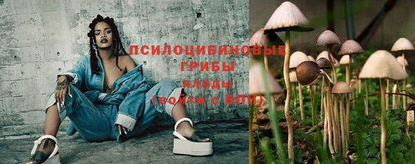 бошки Гусь-Хрустальный