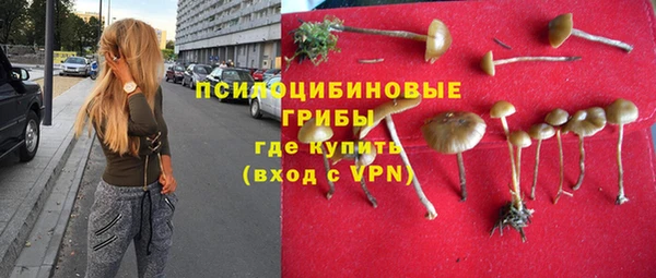ешки Щигры