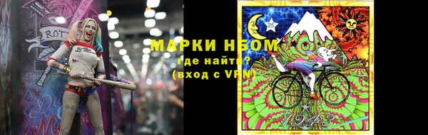 шишки Переславль-Залесский