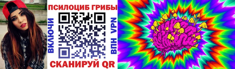 Псилоцибиновые грибы Psilocybe  Шадринск 